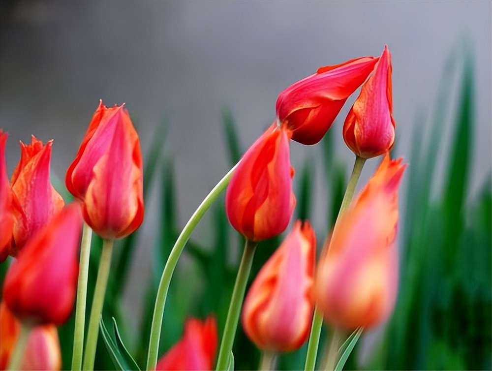 陪伴父母的唯美句子18句，记录我和父母的美好时光!