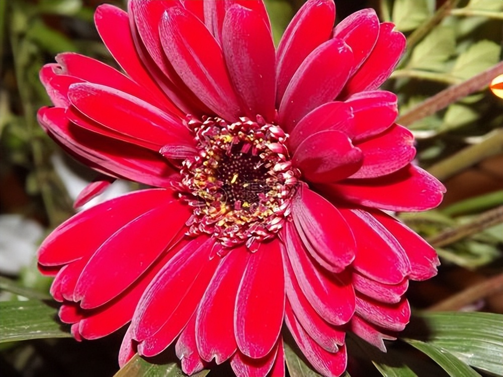 陪伴父母的唯美句子18句，记录我和父母的美好时光!