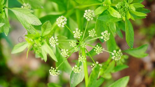 真心牵挂的句子18句，让你的心随之温暖!