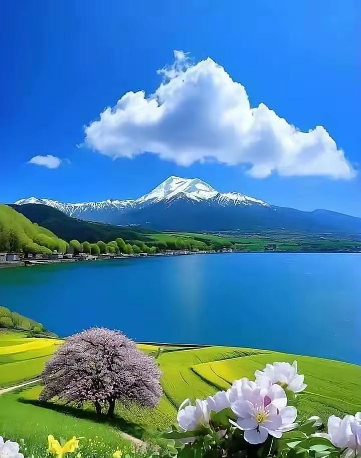 心境淡然的句子30句，时光渐老，愿岁月静好