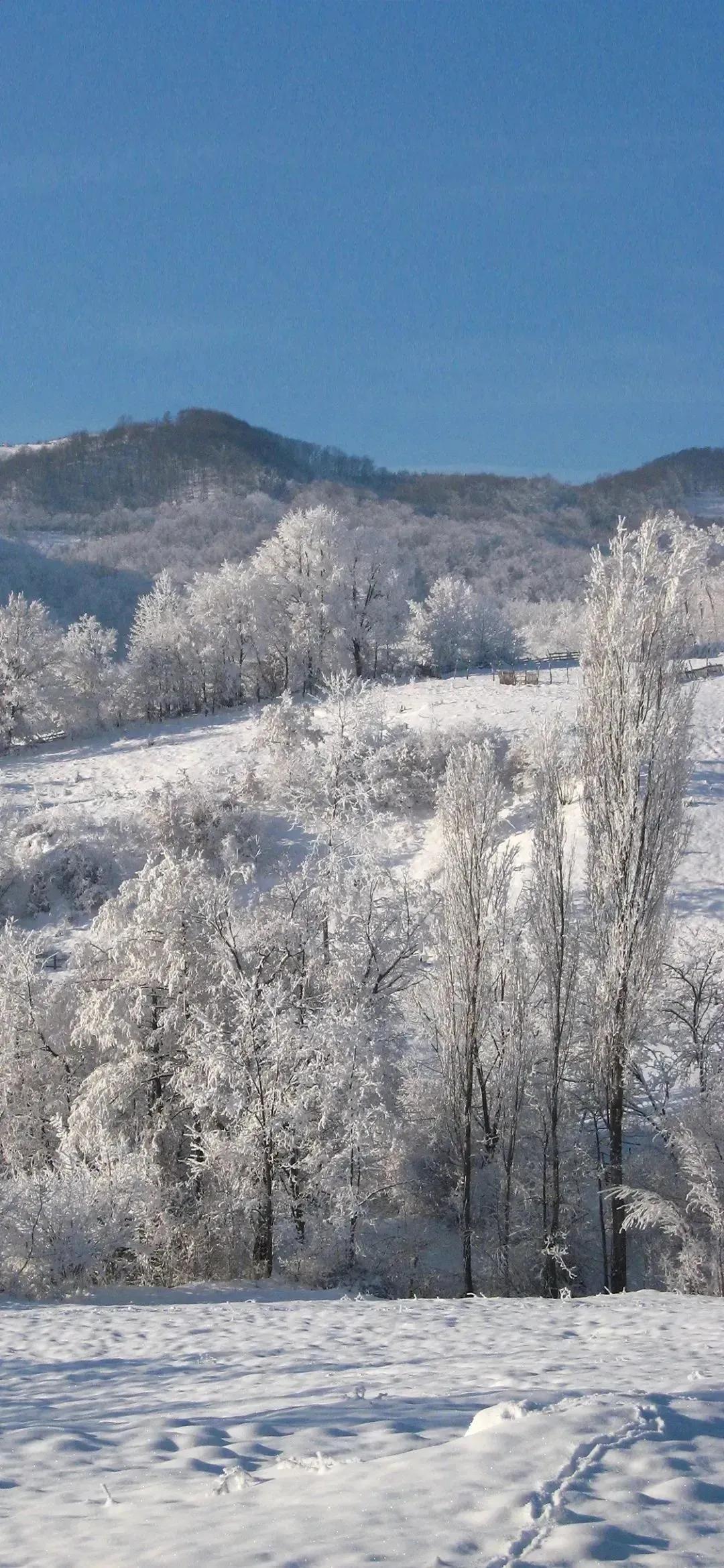 描写初雪的唯美句子简短21句，邂逅最美的冬天