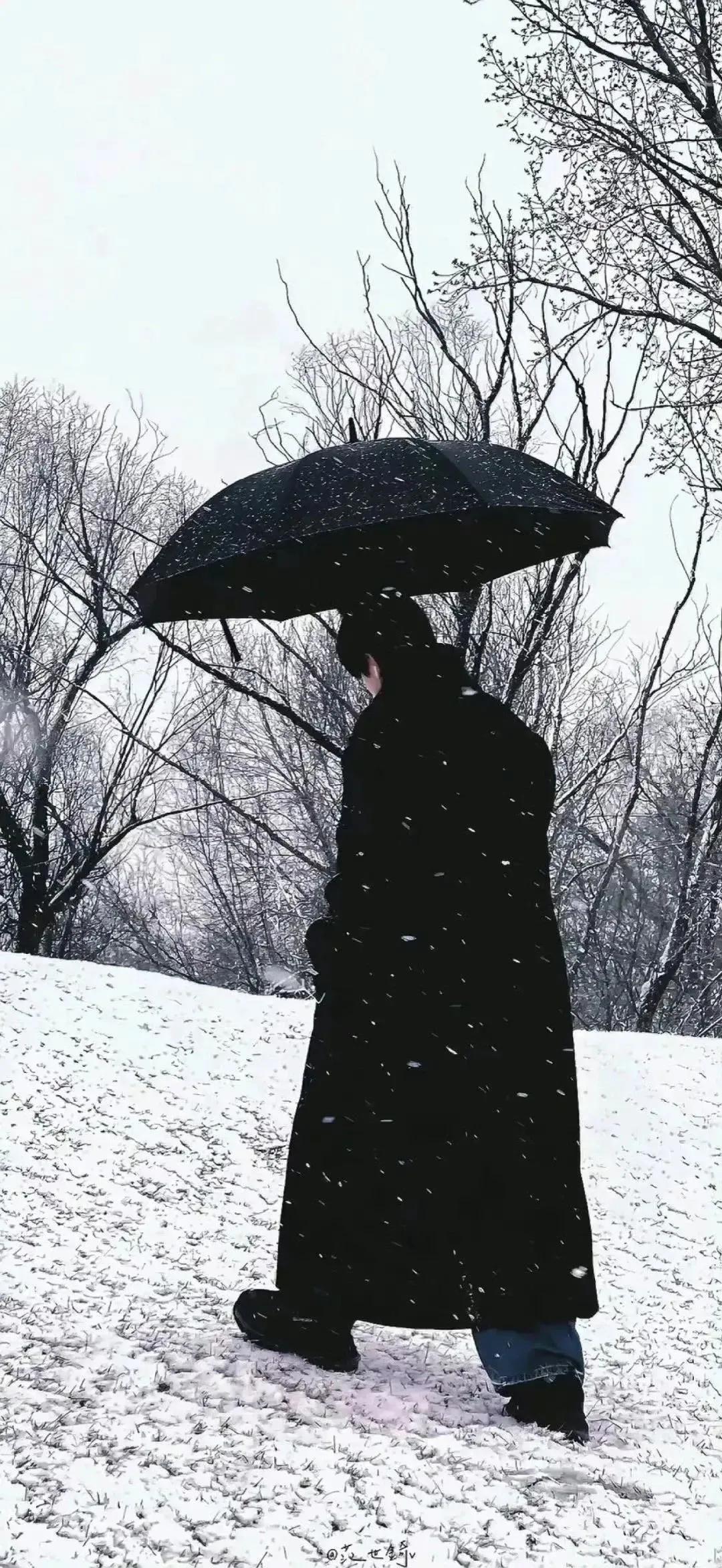 描写初雪的唯美句子简短21句，邂逅最美的冬天