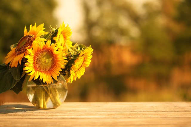 收获的句子14句，告诉你努力终会有回报!