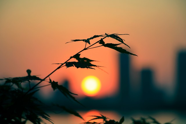 黄昏的唯美句子10句，值得细细品味