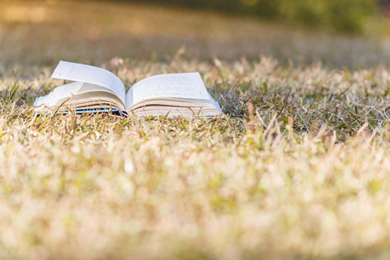 关于童年趣事的作文600字小学习作（我的童年趣事）