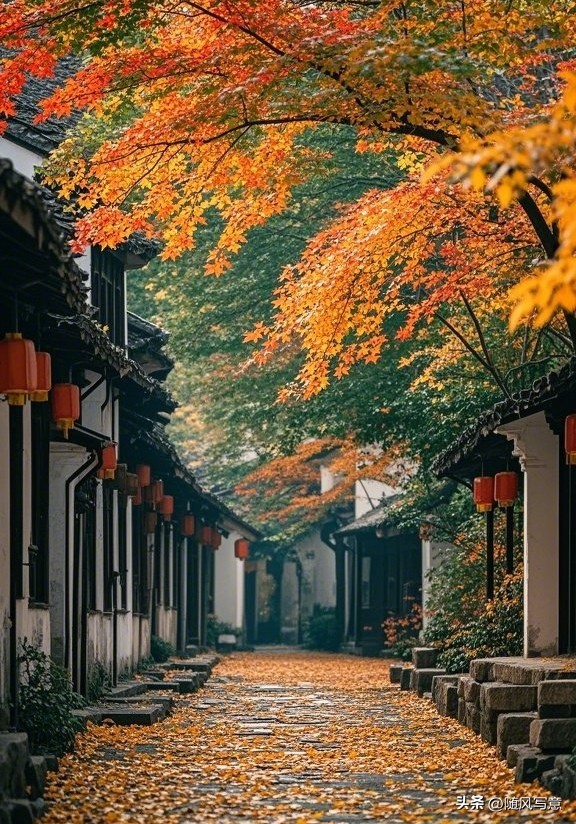 关于秋天的优美句子10句，一叶落，天下秋