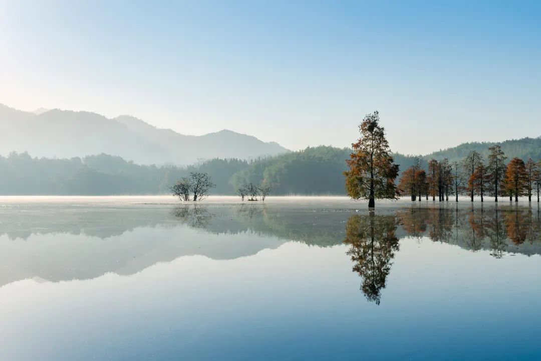 陆游的诗30句，写出了人生的最高境界