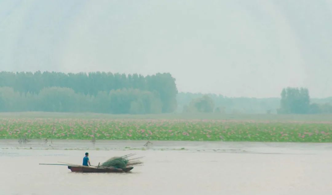 陆游的诗30句，写出了人生的最高境界