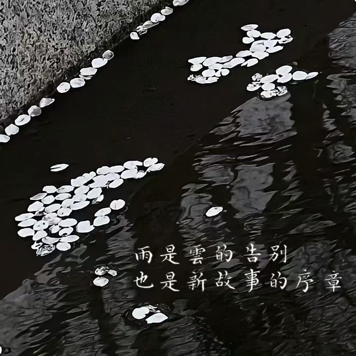 描写雨的优美句子18句，治愈又走心