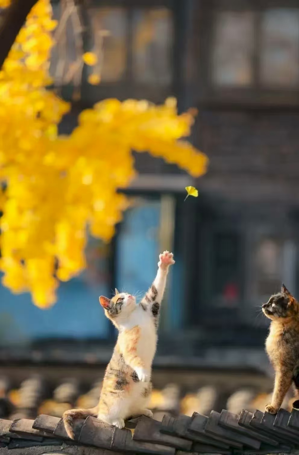 激励自己的话12句，照亮前行之路