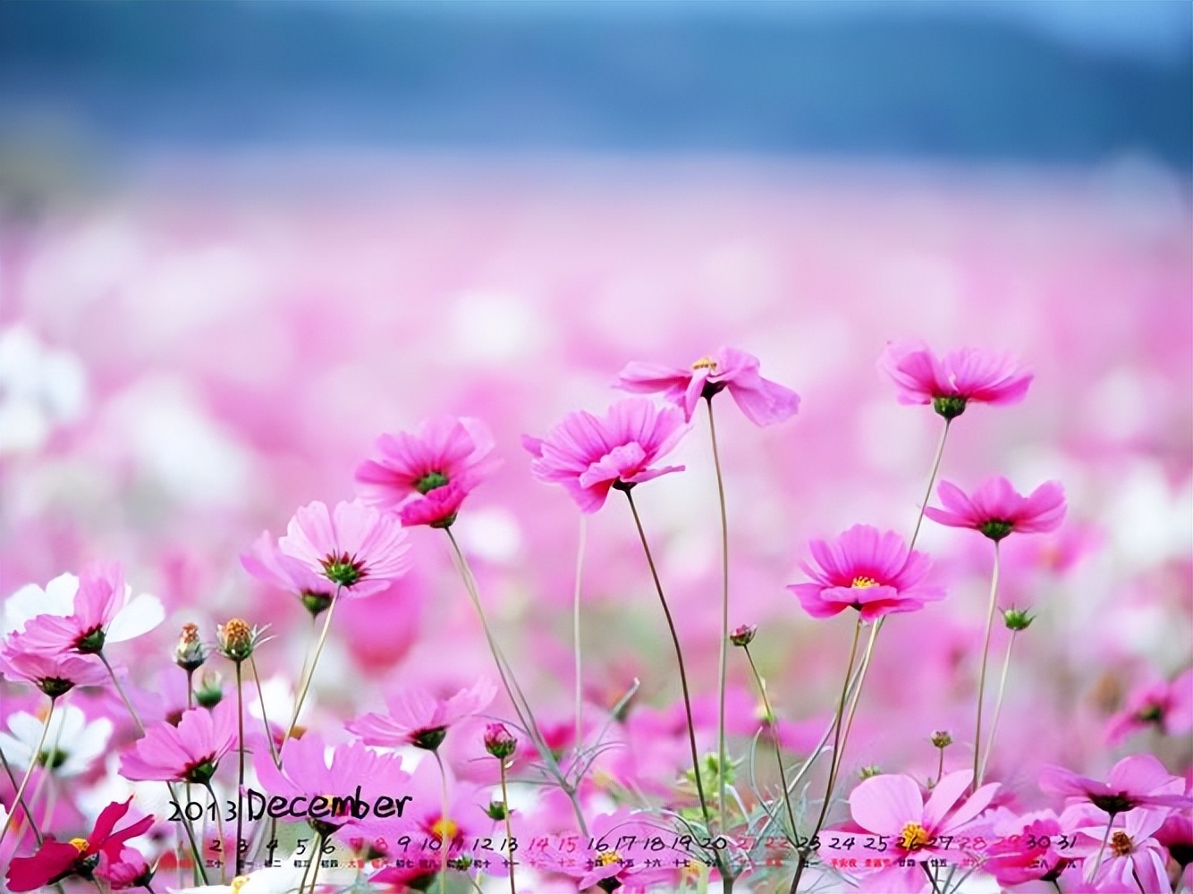 先苦后甜的励志句子20句，句句人生感悟，引人深思!