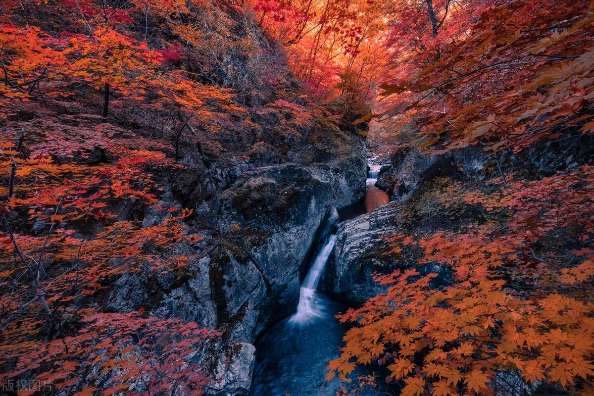 简短有深度的句子15句，越品越通透!