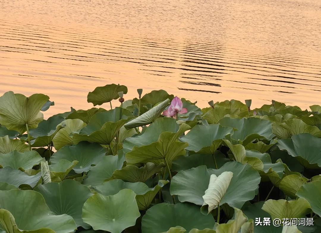 落日余晖的唯美诗句10首，落日倾城，赏心悦目