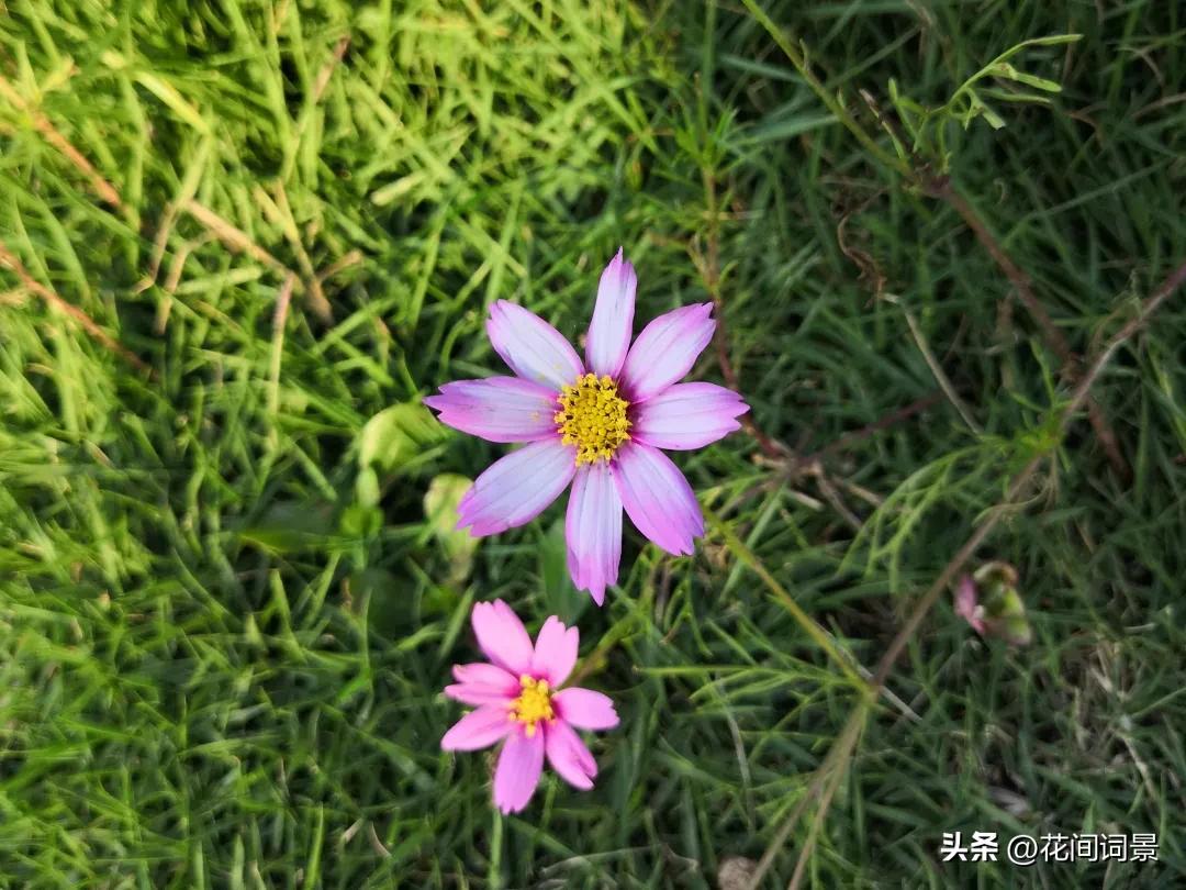 落日余晖的唯美诗句10首，落日倾城，赏心悦目