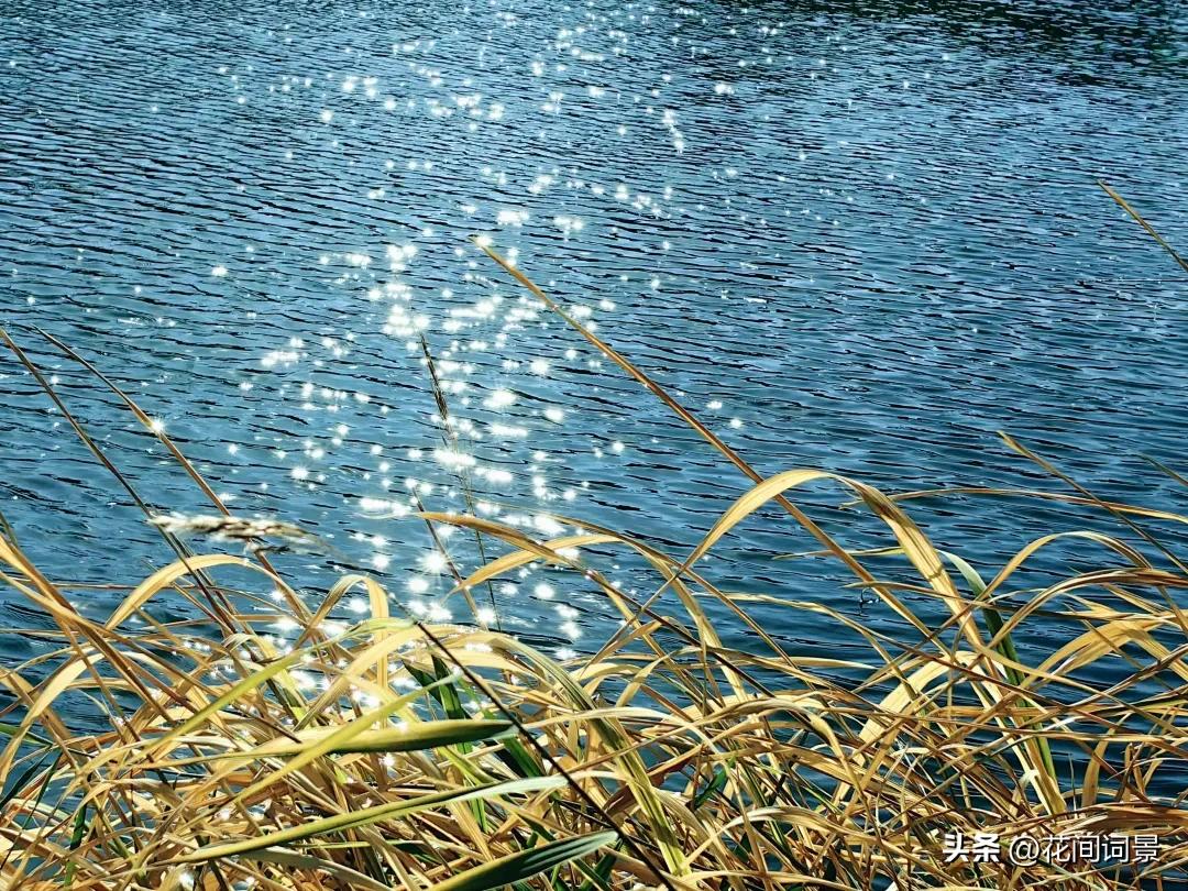 落日余晖的唯美诗句10首，落日倾城，赏心悦目