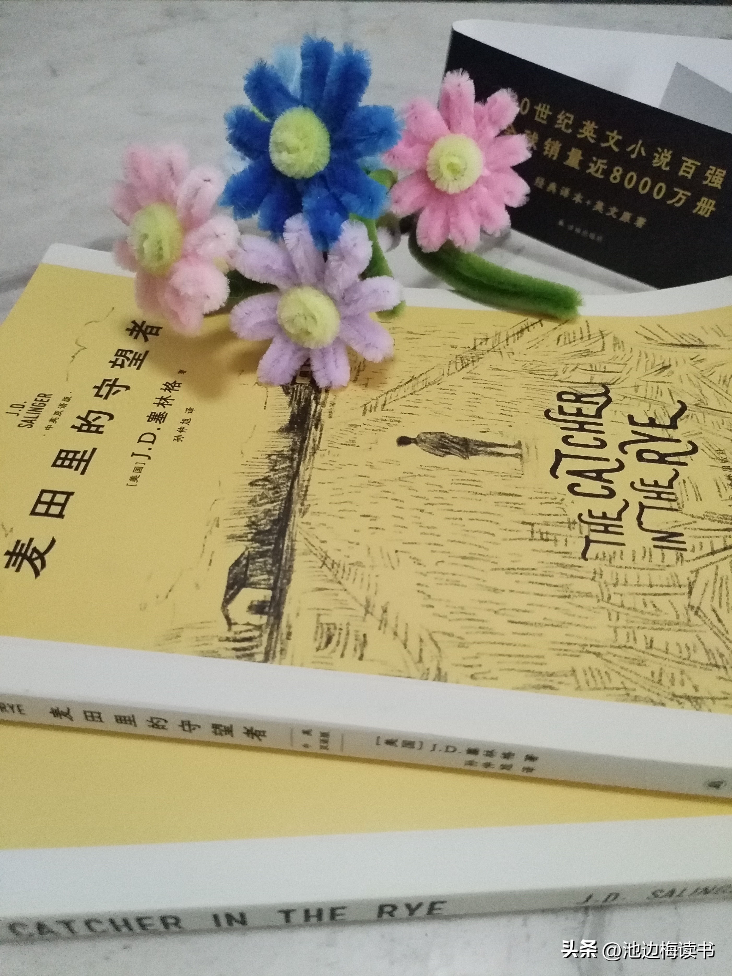 麦田的守望者读后感，一本让我喜欢到骨子里的书