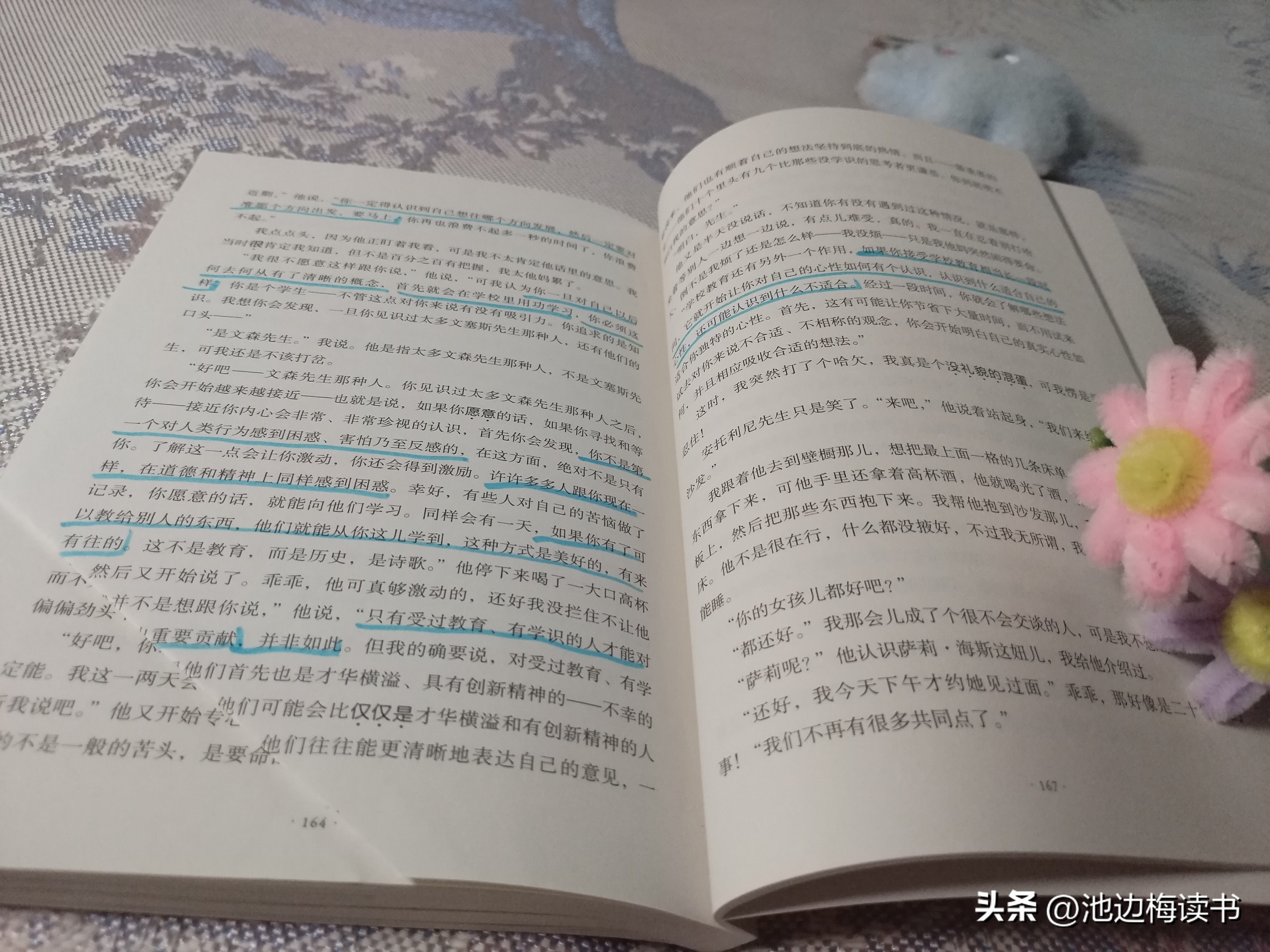 麦田的守望者读后感，一本让我喜欢到骨子里的书