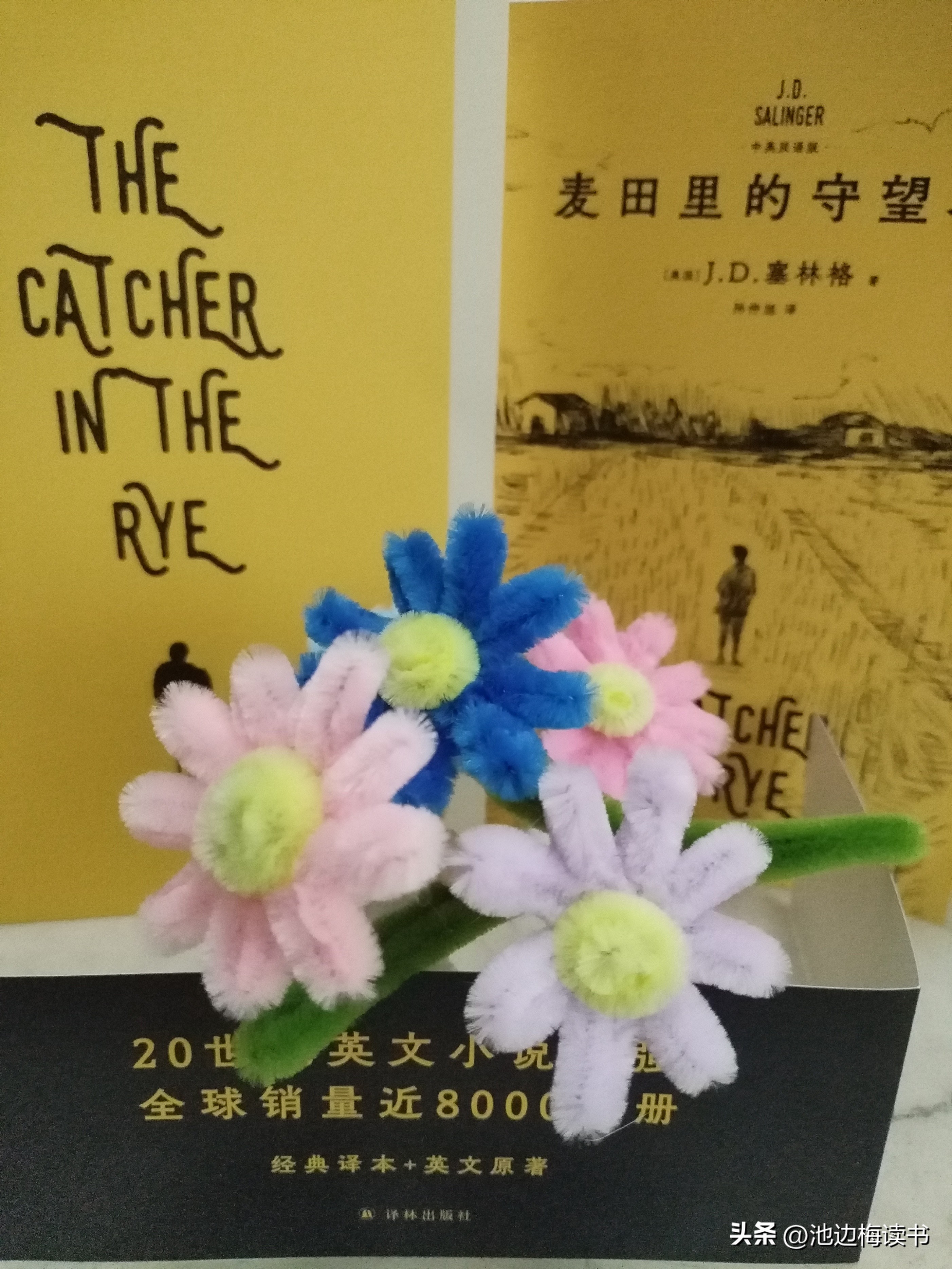 麦田的守望者读后感，一本让我喜欢到骨子里的书