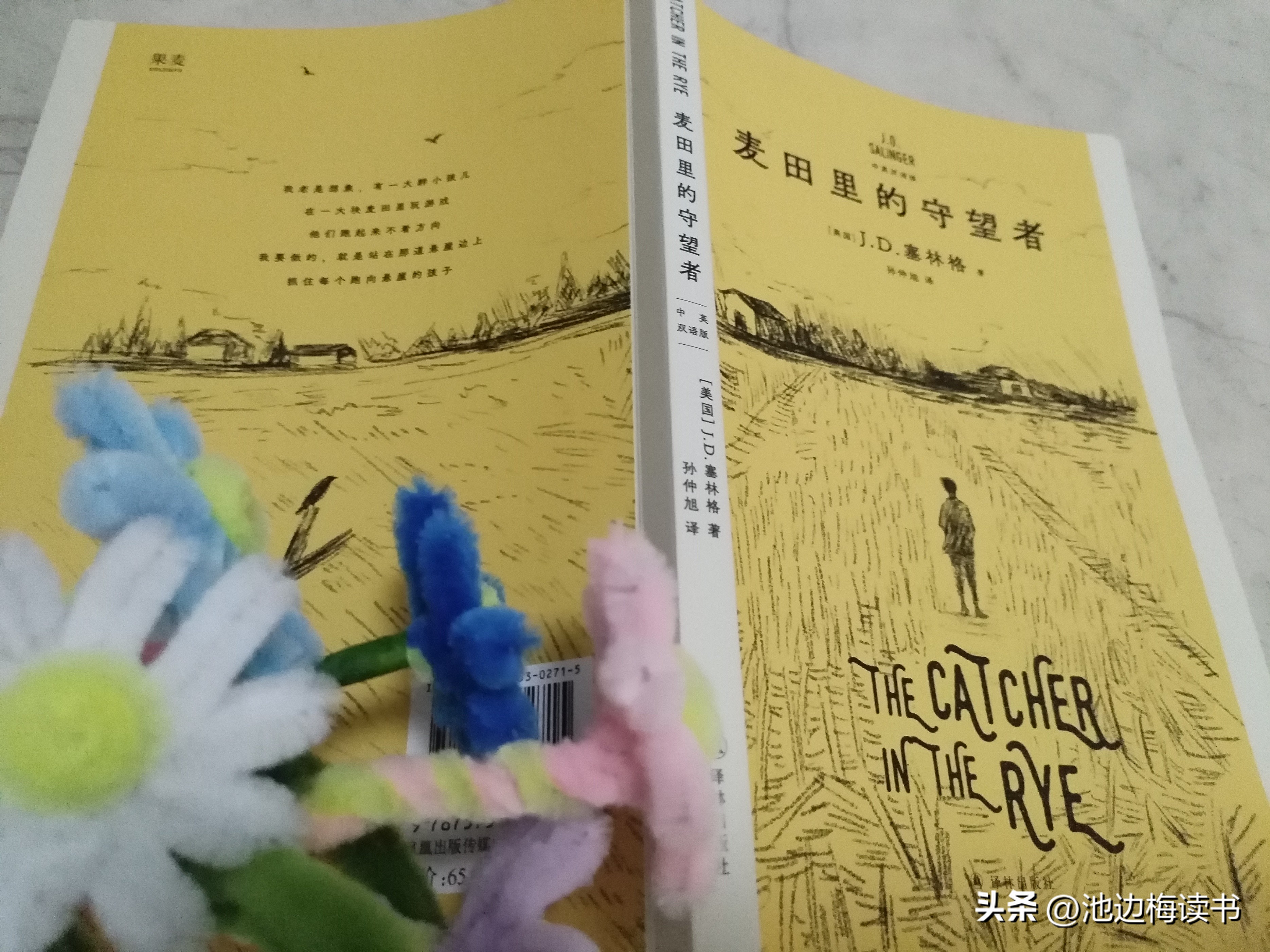 麦田的守望者读后感，一本让我喜欢到骨子里的书