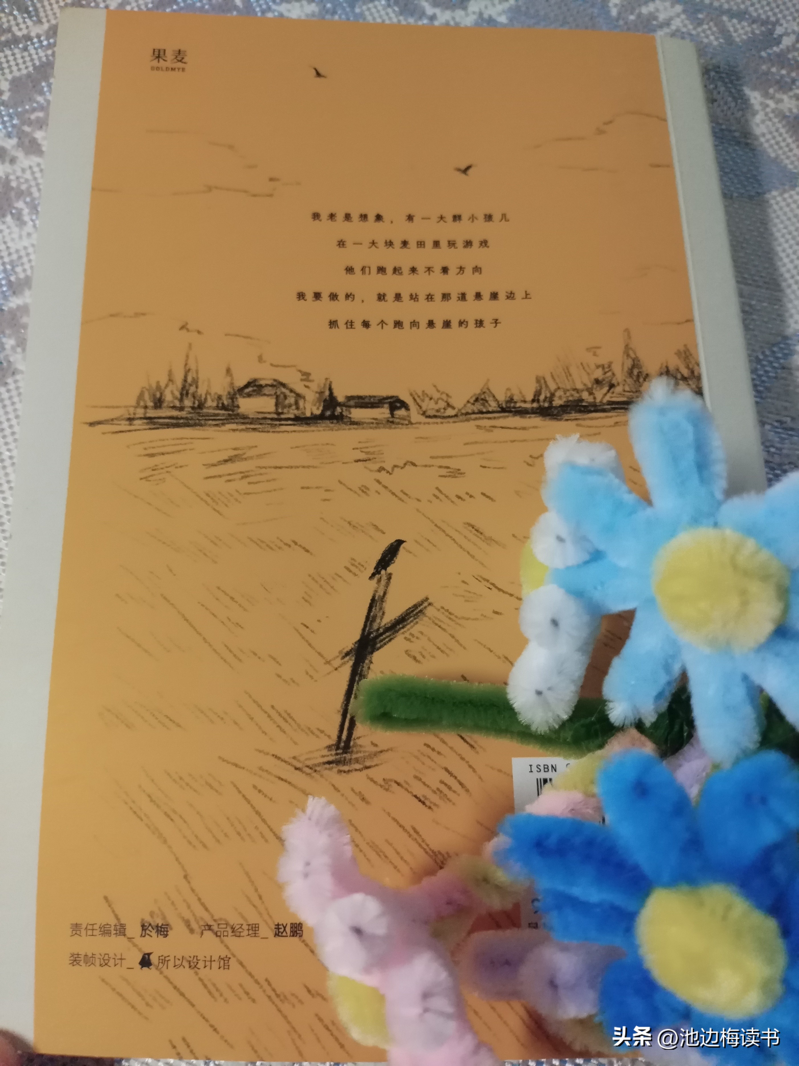 麦田的守望者读后感，一本让我喜欢到骨子里的书