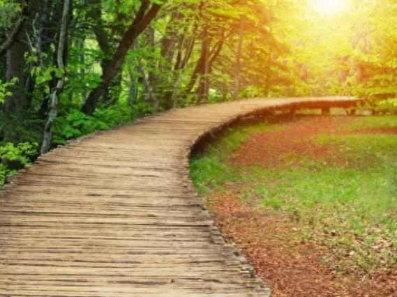 路在脚下的励志句子10句，脚下有路，何惧迷茫