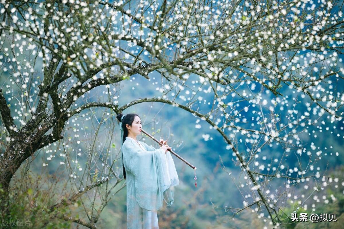 写梅花的诗句24句（原文及释义）