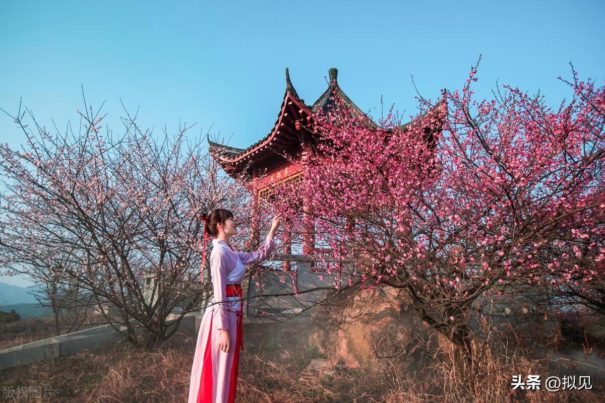 写梅花的诗句24句（原文及释义）