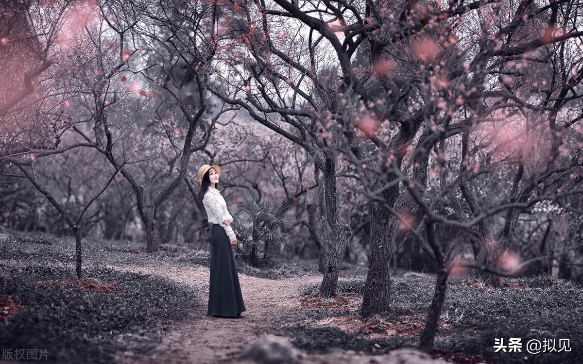 写梅花的诗句24句（原文及释义）