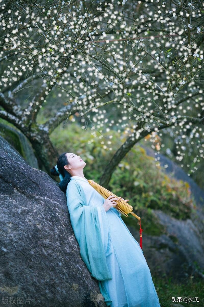 写梅花的诗句24句（原文及释义）