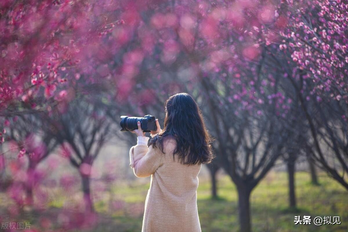 写梅花的诗句24句（原文及释义）