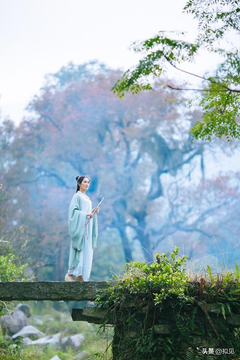 写梅花的诗句24句（原文及释义）