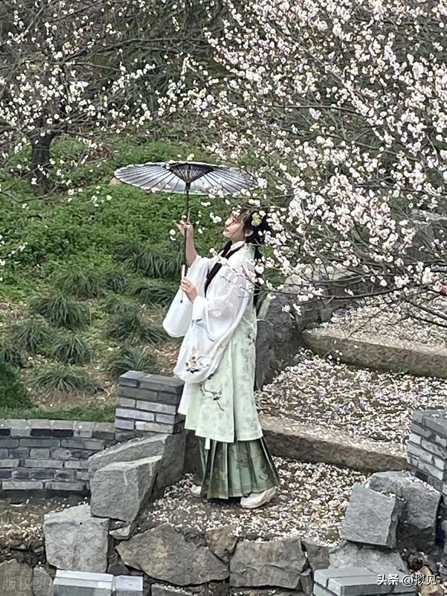 写梅花的诗句24句（原文及释义）