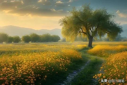 做一个快乐的自己句子10句，过好自己的生活!