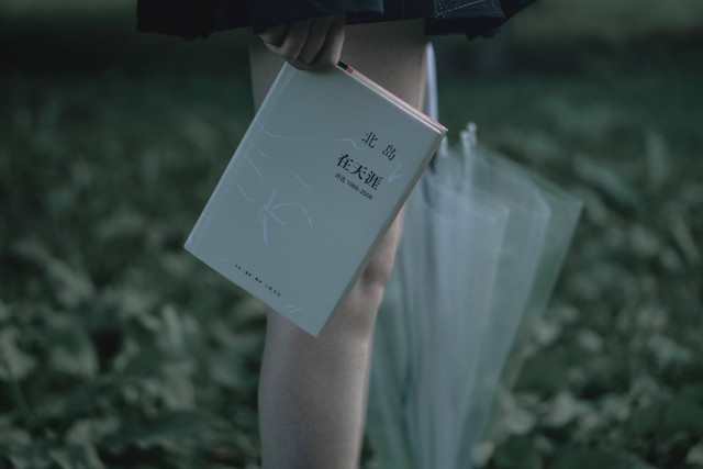 放下了也就释然了的句子10句，句句都是天花板级别!