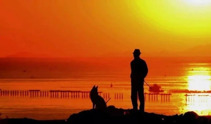 思乡之情的诗句10首，句句饱含深情