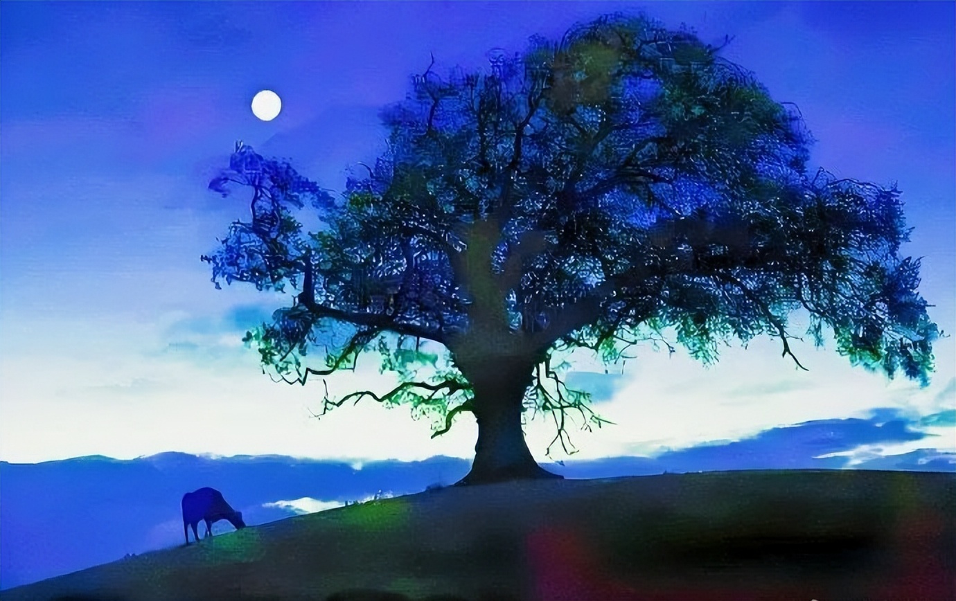 思乡之情的诗句10首，句句饱含深情