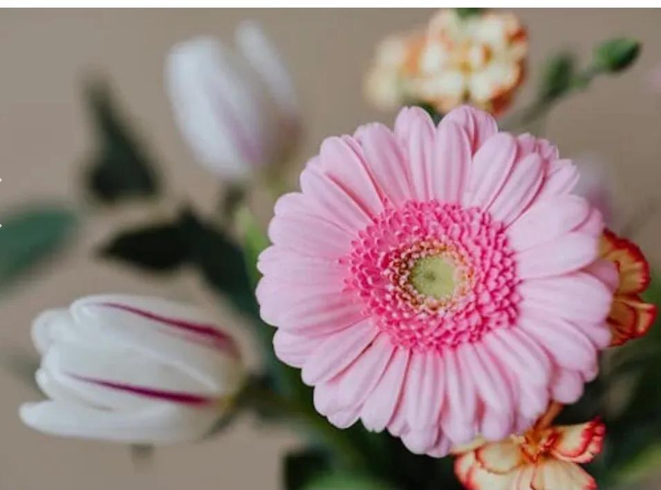 关于母爱的句子50句，致敬伟大母爱!