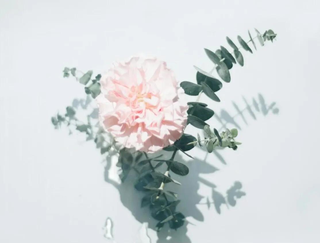 关于母爱的句子50句，致敬伟大母爱!