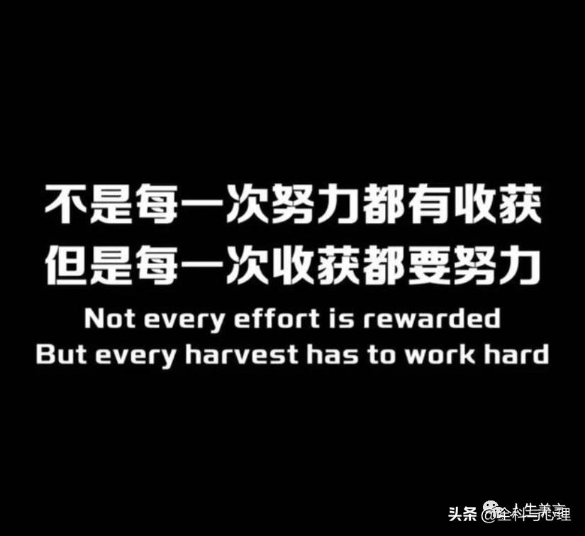 励志格言座右铭45句，点燃你的内心力量!