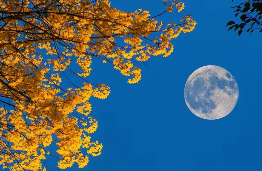 中秋的诗句唯美8首，品鉴中秋之美