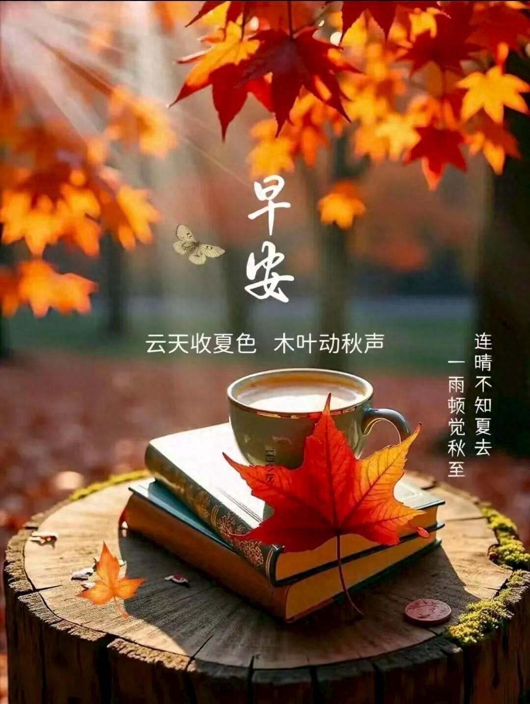 早安励志语录30句，愿你一路向前不彷徨!