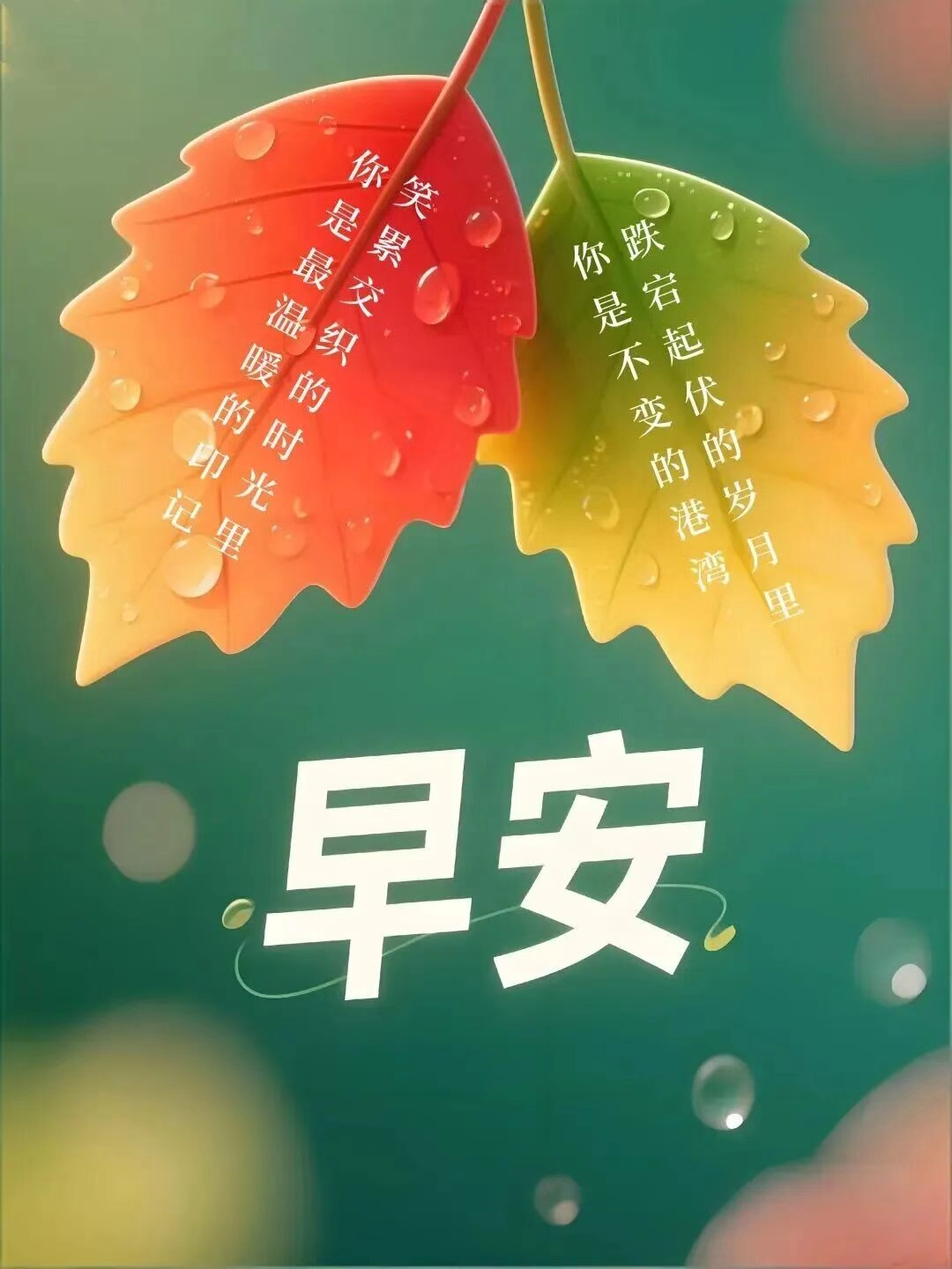 早安励志语录30句，愿你一路向前不彷徨!