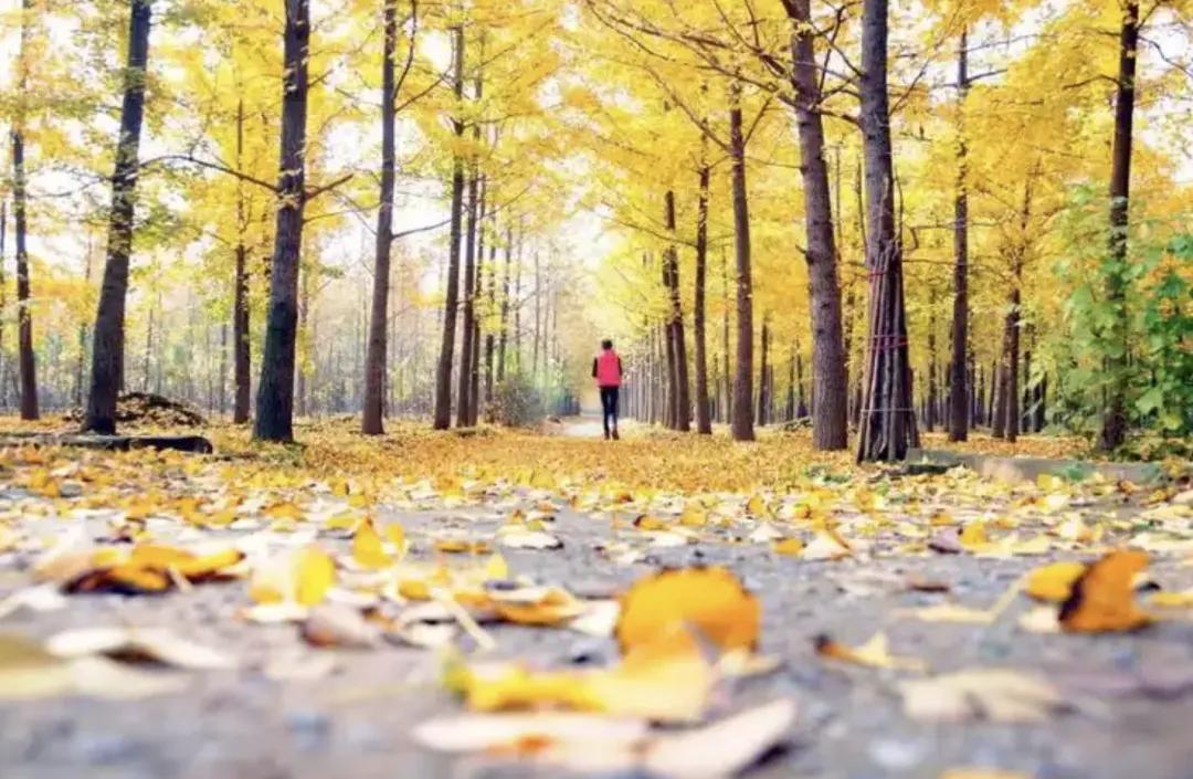 有关写秋天的古诗9首，句句醉人心