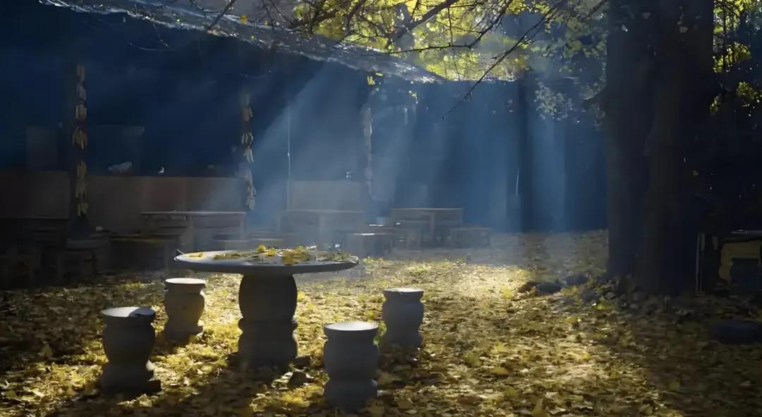 有关写秋天的古诗9首，句句醉人心