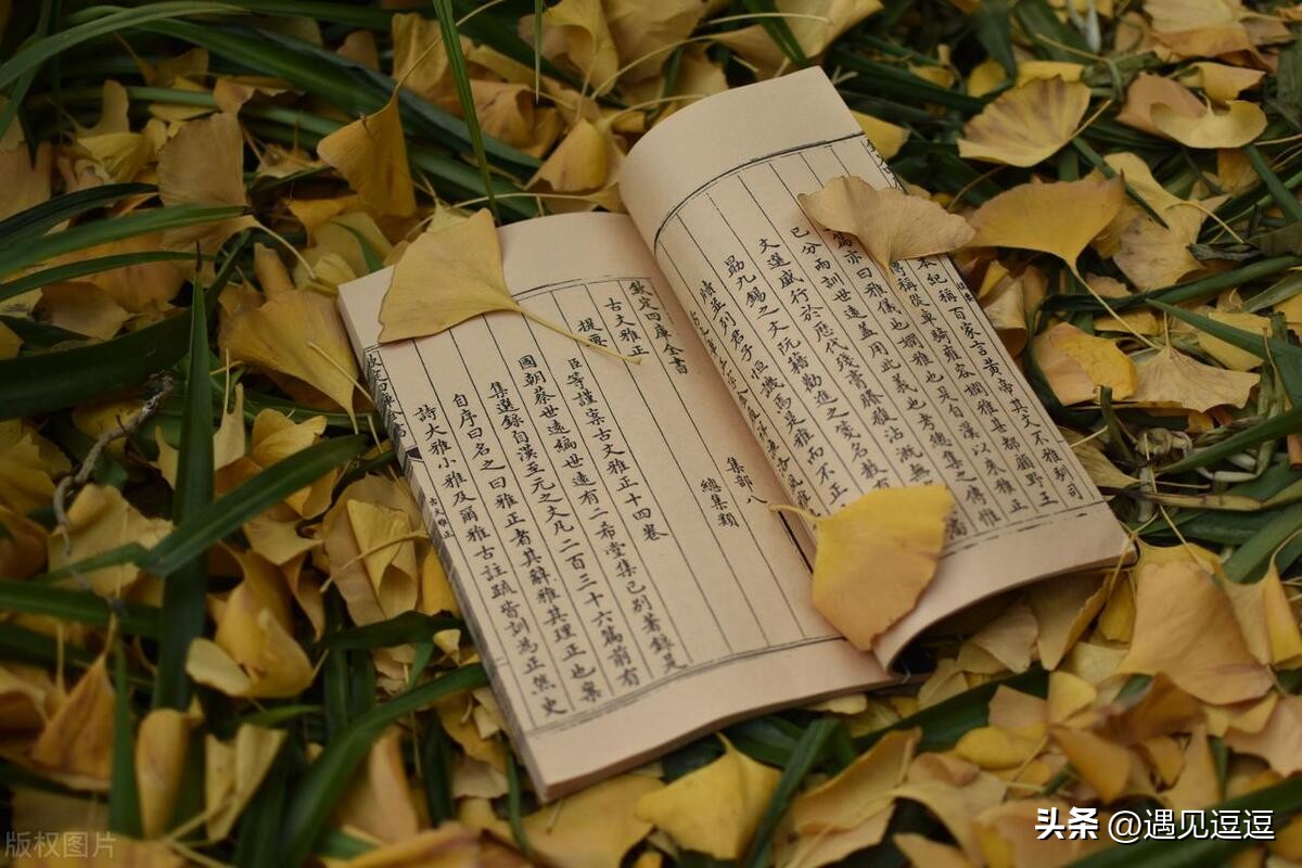 描写动物的诗句古诗25首，童趣又让人惊艳!