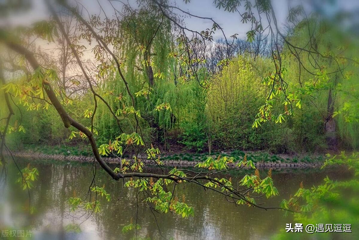 描写动物的诗句古诗25首，童趣又让人惊艳!