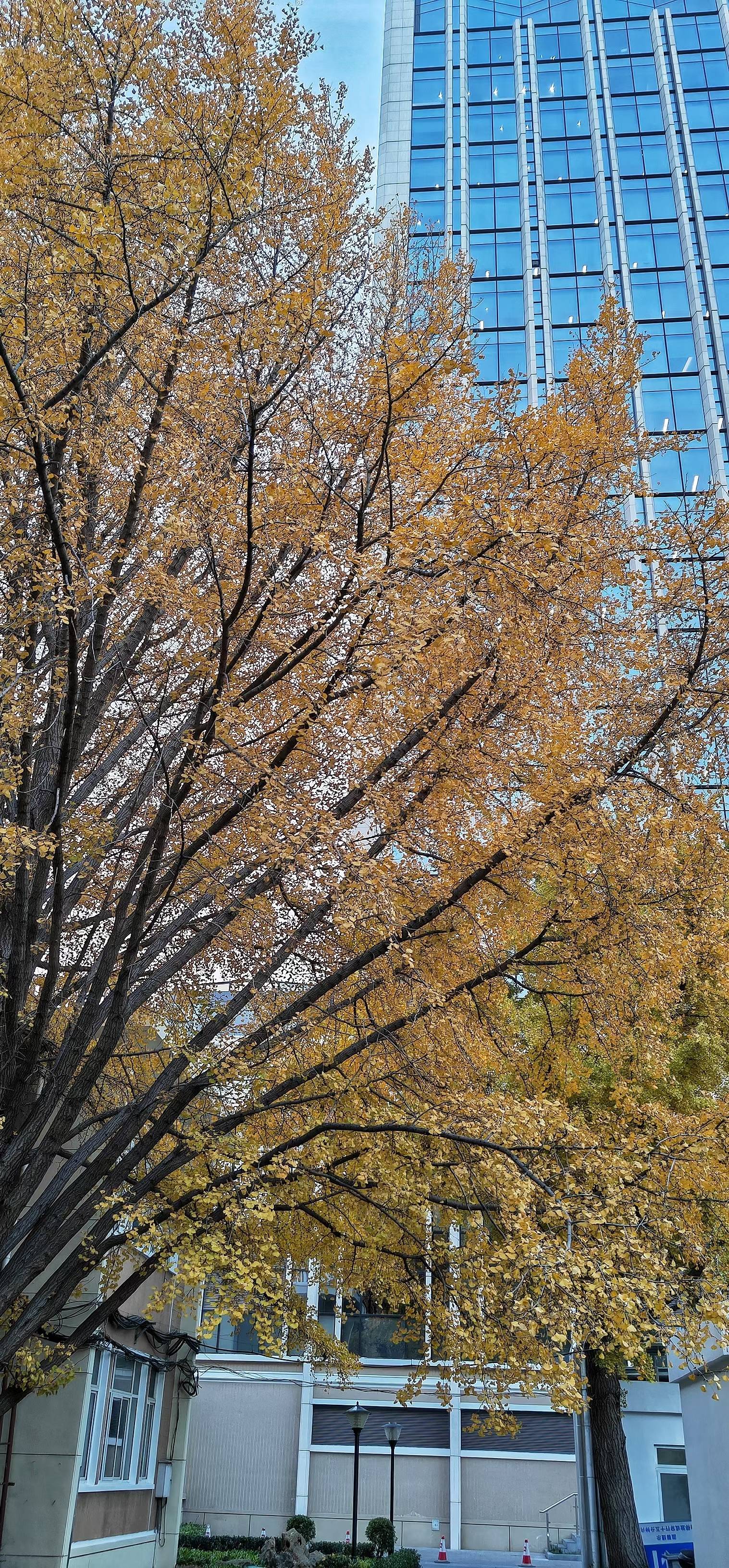 秋天来了作文600字（小学优秀范文）