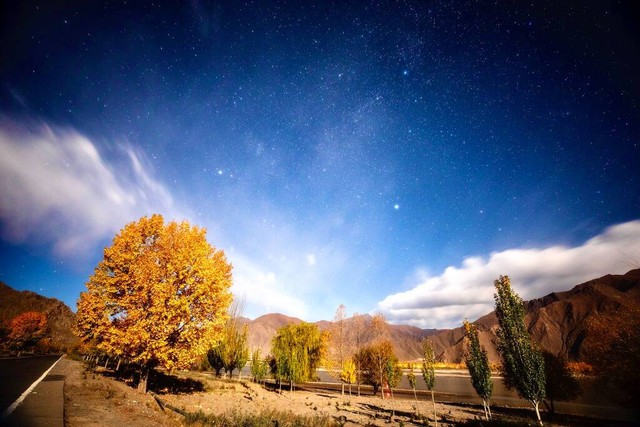 关于描写秋天的句子20句，秋天，到底有多美!