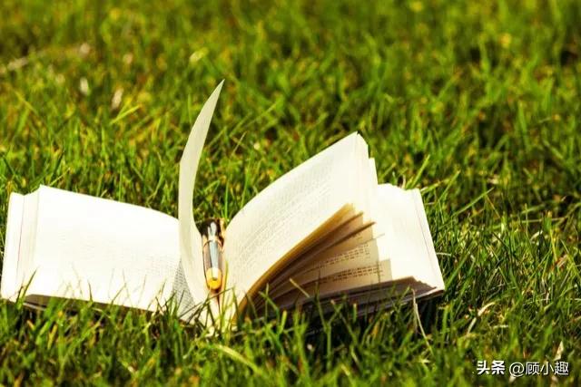 读书短句13句，句句让人醍醐灌顶!