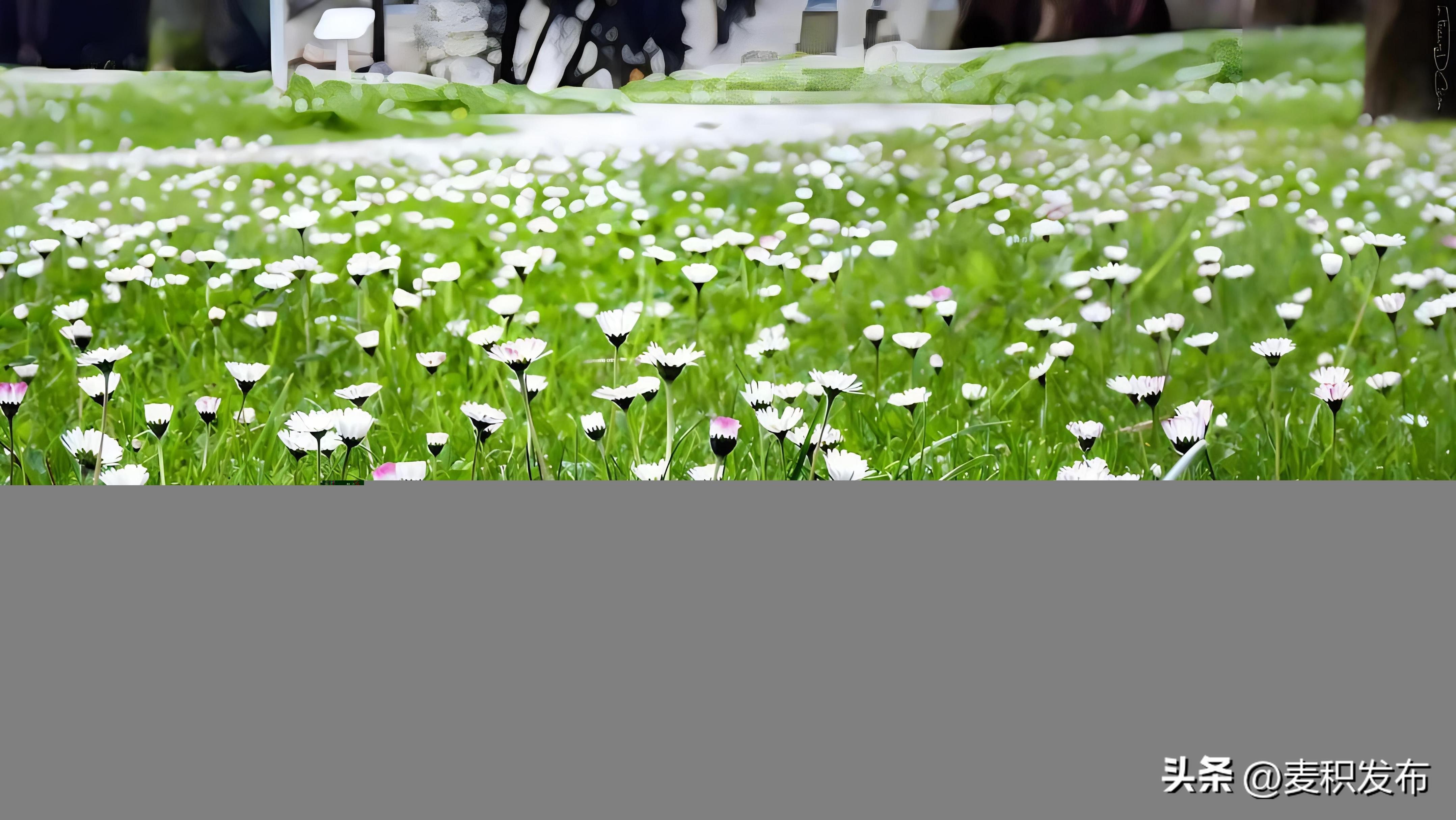 描写春天景色的诗句10句，字字醉人眼眸